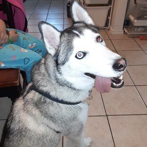 Meet your Posher, Vanja